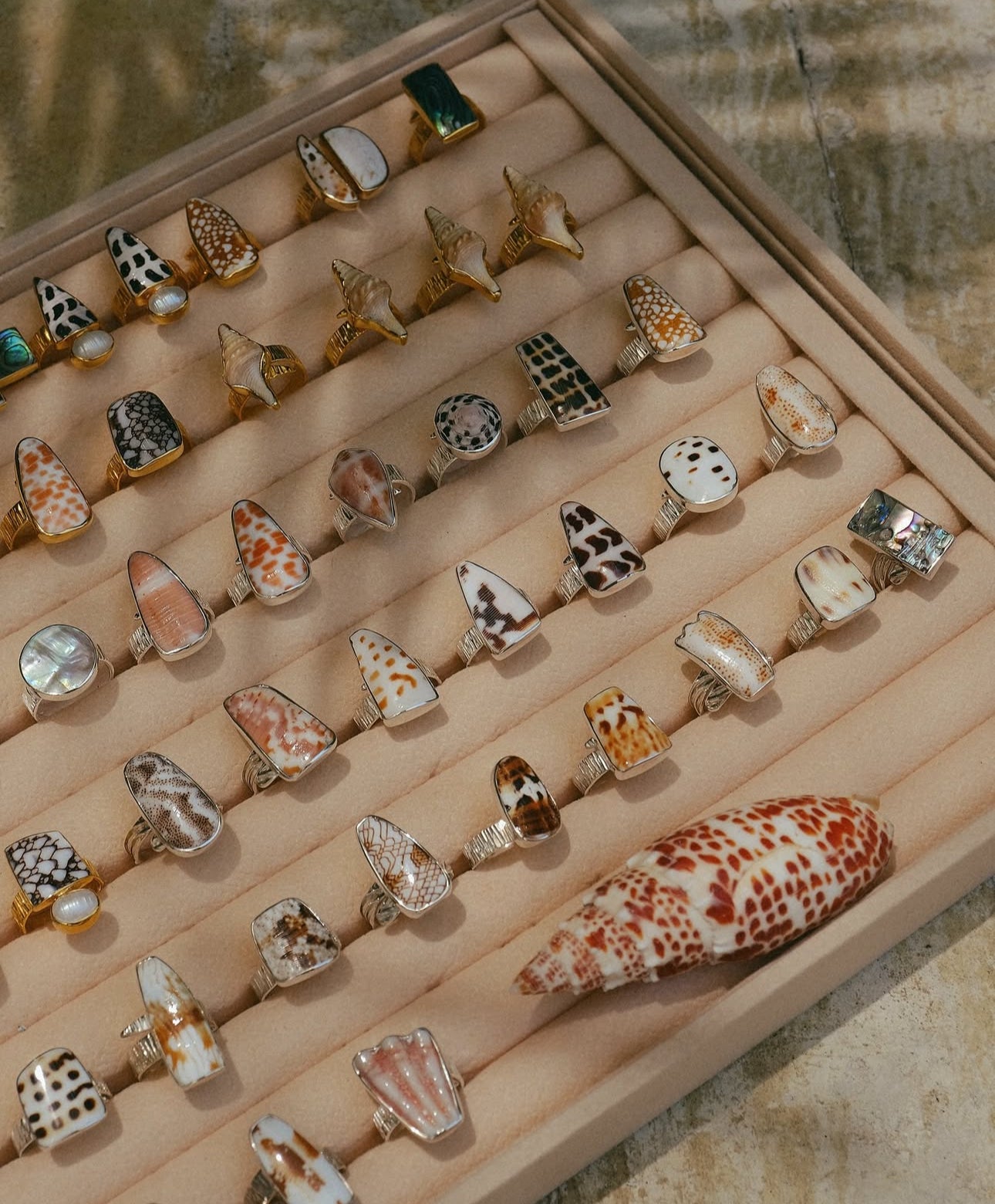 Lagoon Shells Ring