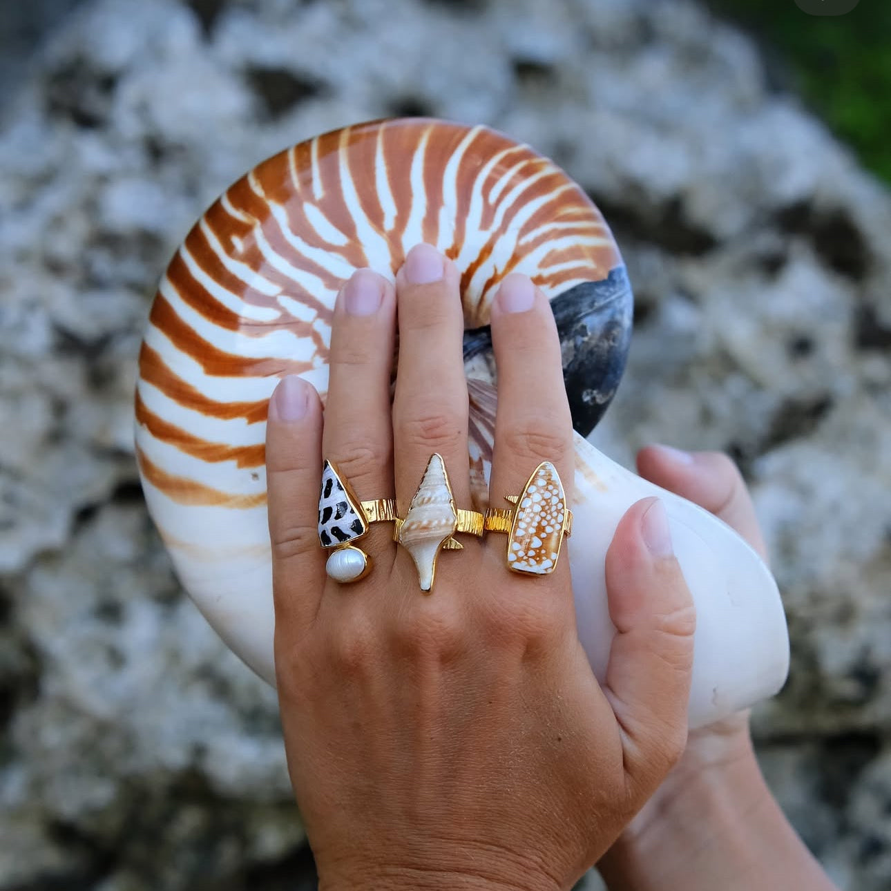Lagoon Shells Ring