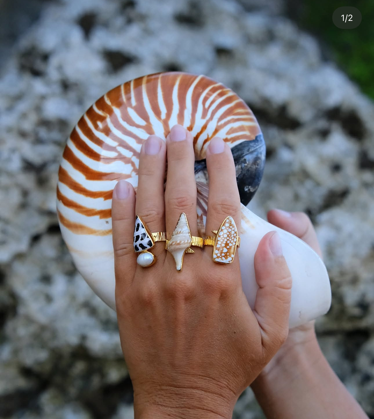 Lagoon Shells Ring