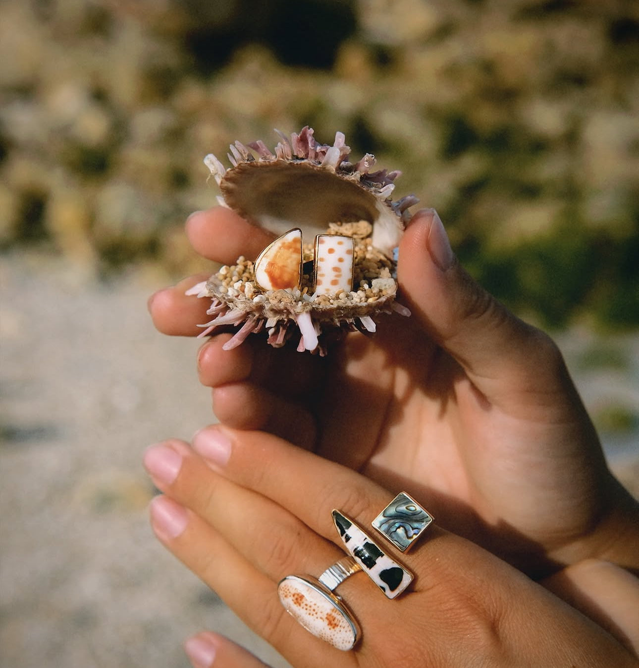 Lagoon Shells Ring