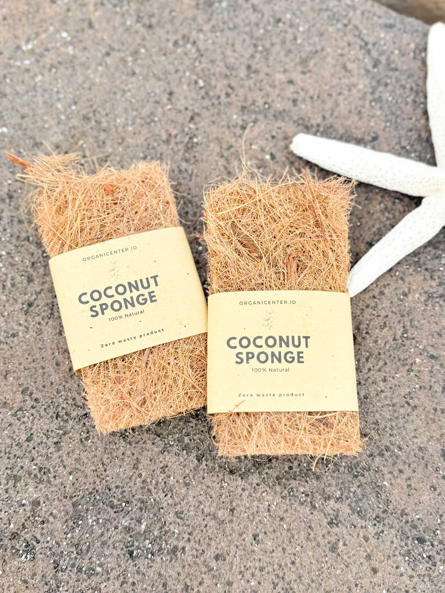 Coconut Sponge