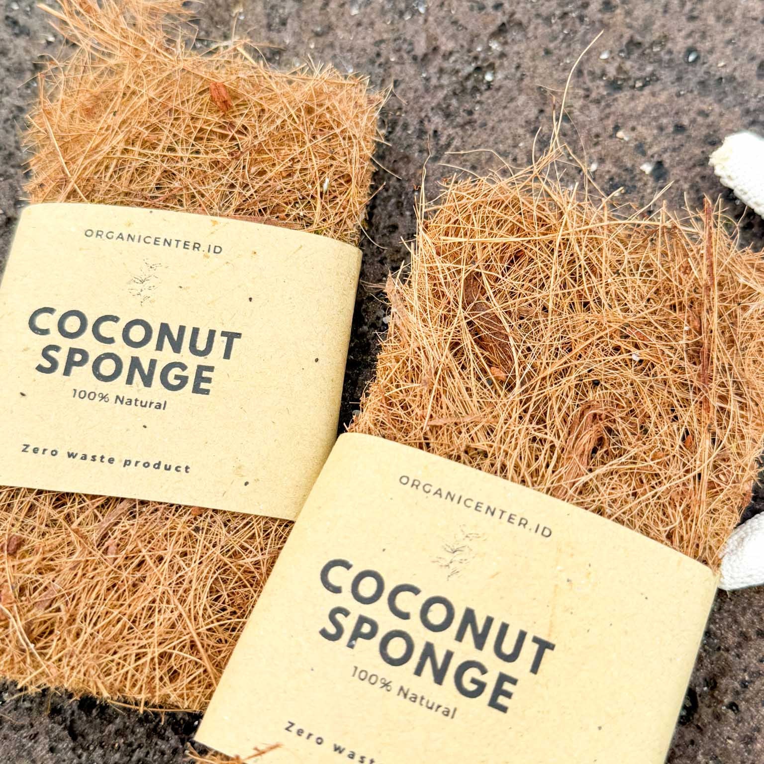 Coconut Sponge