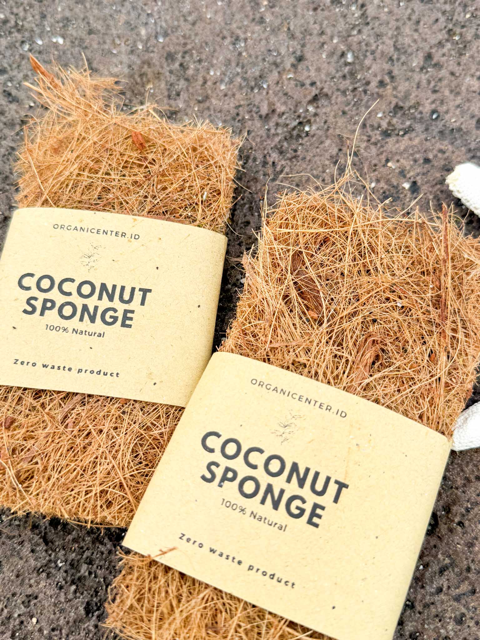 Coconut Sponge