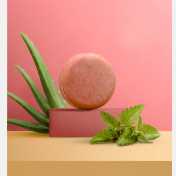 Stoneroot Shampoo Bar Red Clay