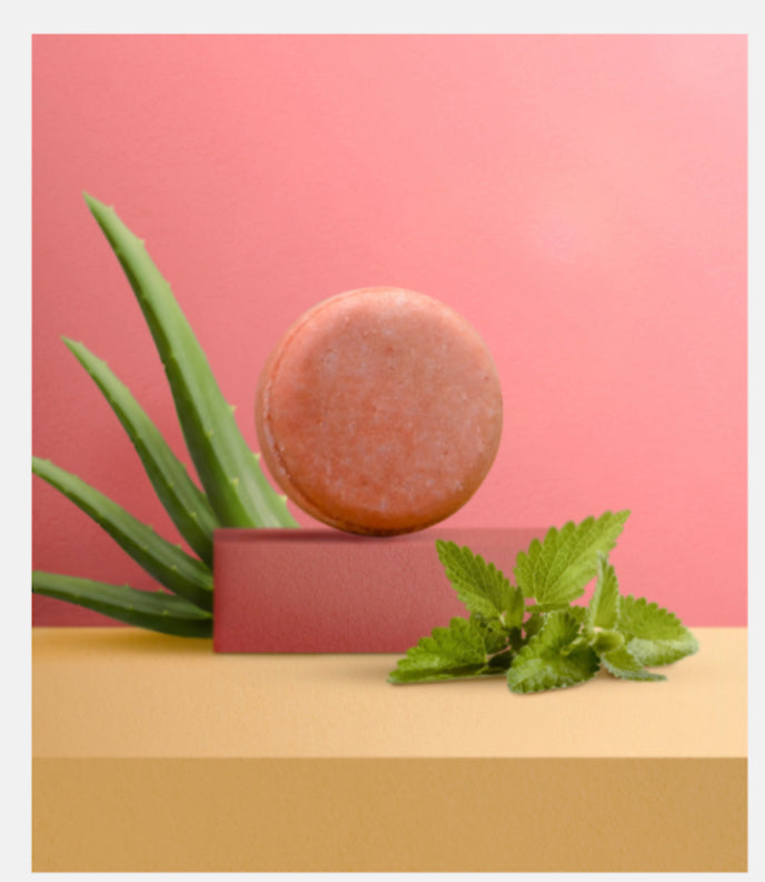 Stoneroot Shampoo Bar Red Clay